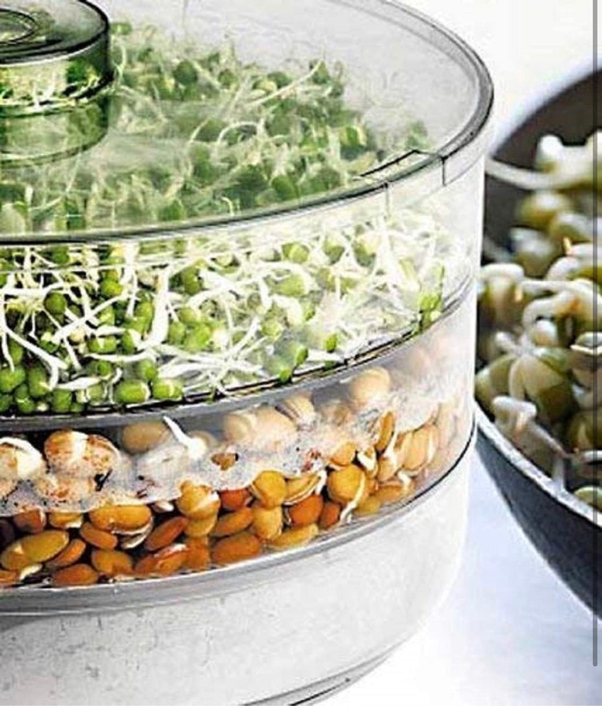 Layer Sprout Maker – Multi-Level Sprouting Container for Healthy Home-Grown Sprouts